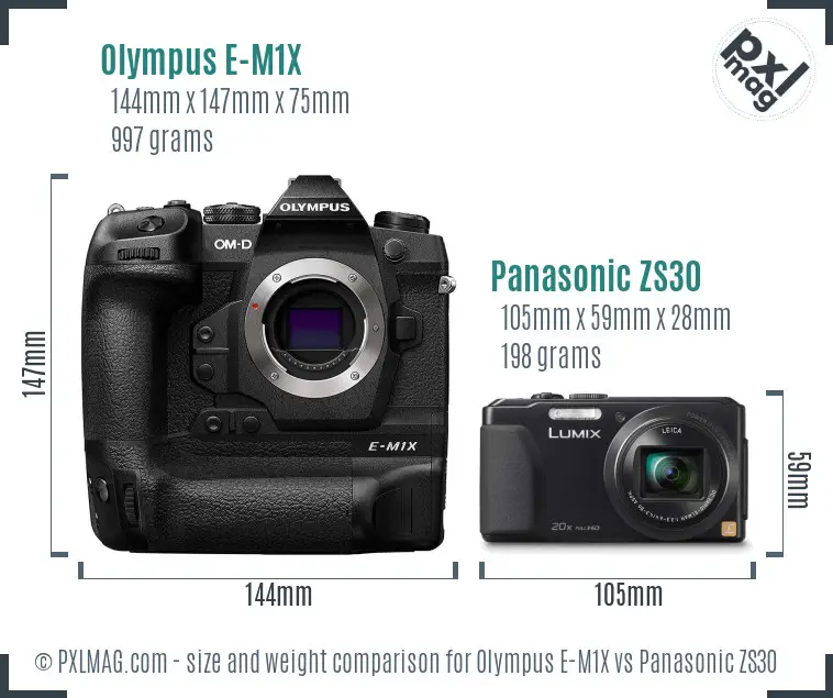 Olympus E-M1X vs Panasonic ZS30 size comparison