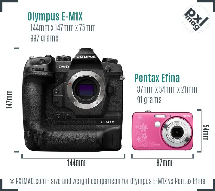 Olympus E-M1X vs Pentax Efina size comparison