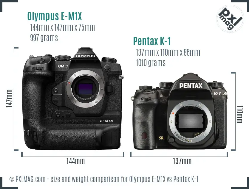 Olympus E-M1X vs Pentax K-1 size comparison
