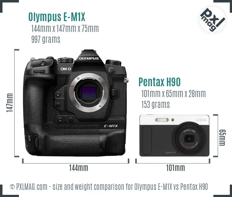 Olympus E-M1X vs Pentax H90 size comparison