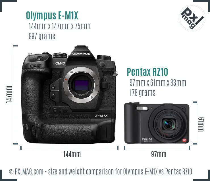 Olympus E-M1X vs Pentax RZ10 size comparison