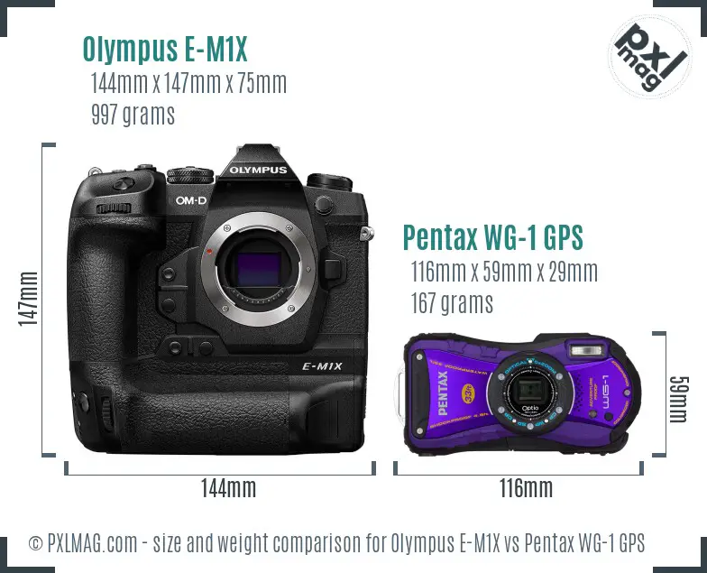 Olympus E-M1X vs Pentax WG-1 GPS size comparison
