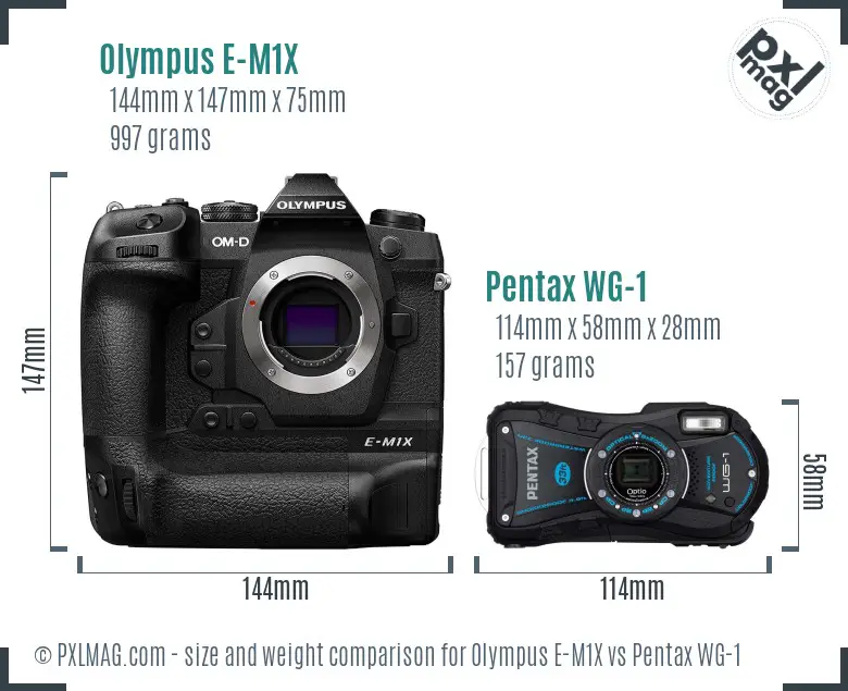 Olympus E-M1X vs Pentax WG-1 size comparison