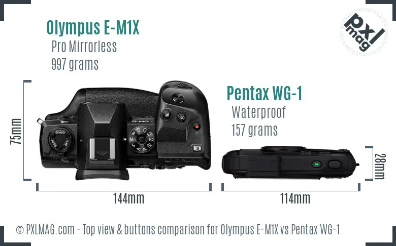 Olympus E-M1X vs Pentax WG-1 top view buttons comparison