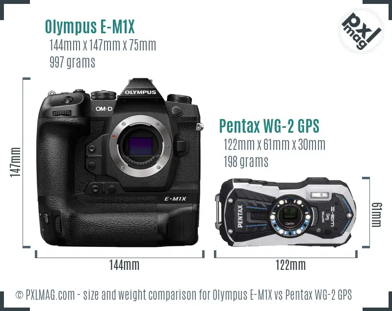 Olympus E-M1X vs Pentax WG-2 GPS size comparison