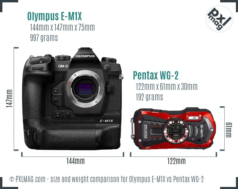 Olympus E-M1X vs Pentax WG-2 size comparison