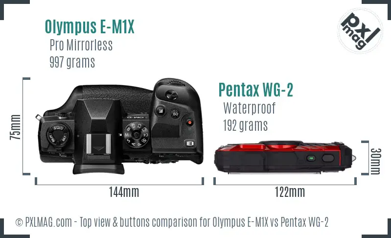 Olympus E-M1X vs Pentax WG-2 top view buttons comparison