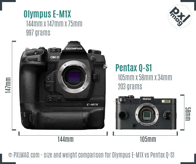 Olympus E-M1X vs Pentax Q-S1 size comparison