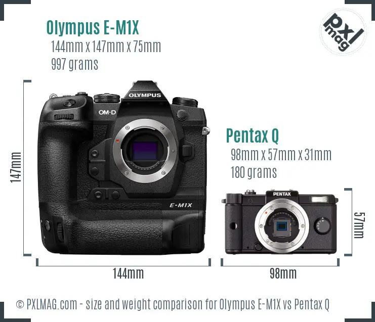 Olympus E-M1X vs Pentax Q size comparison