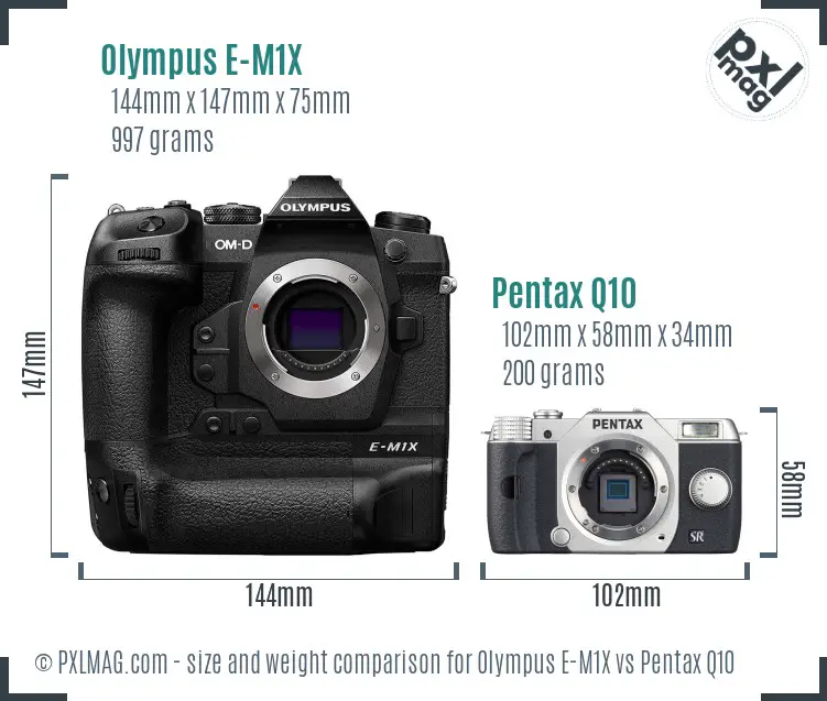 Olympus E-M1X vs Pentax Q10 size comparison