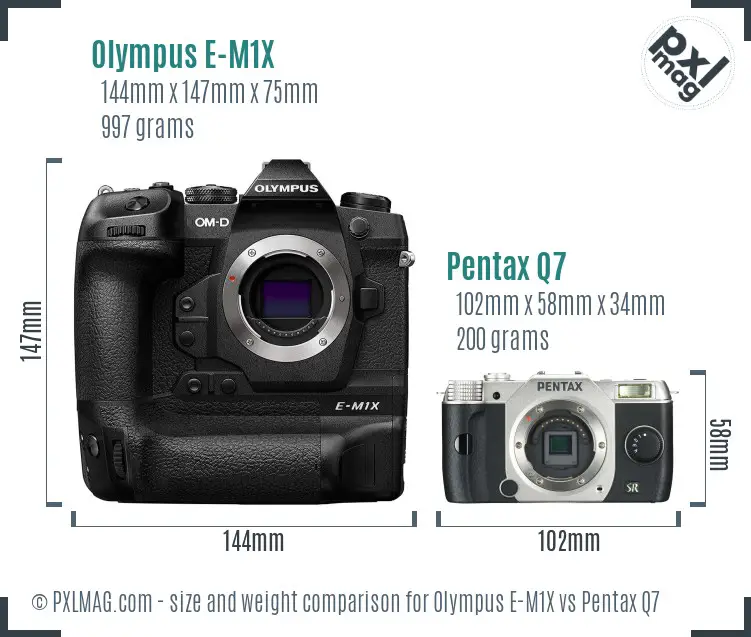 Olympus E-M1X vs Pentax Q7 size comparison