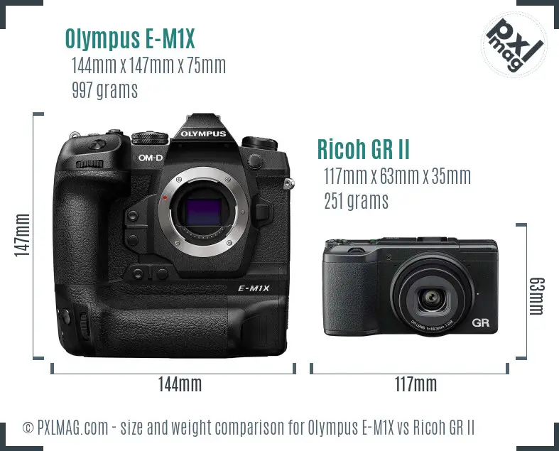 Olympus E-M1X vs Ricoh GR II size comparison