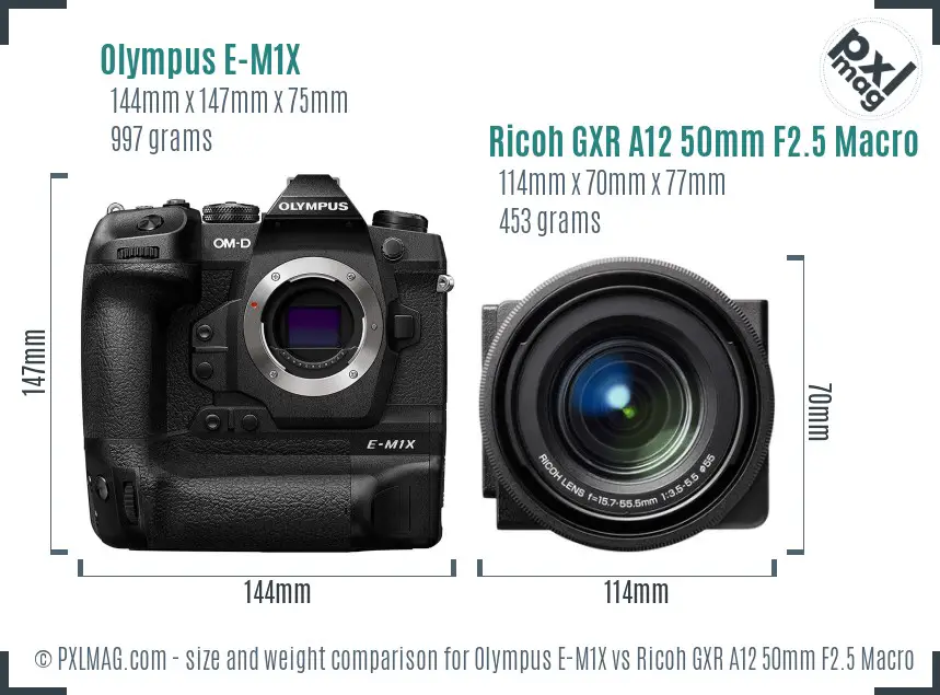 Olympus E-M1X vs Ricoh GXR A12 50mm F2.5 Macro size comparison