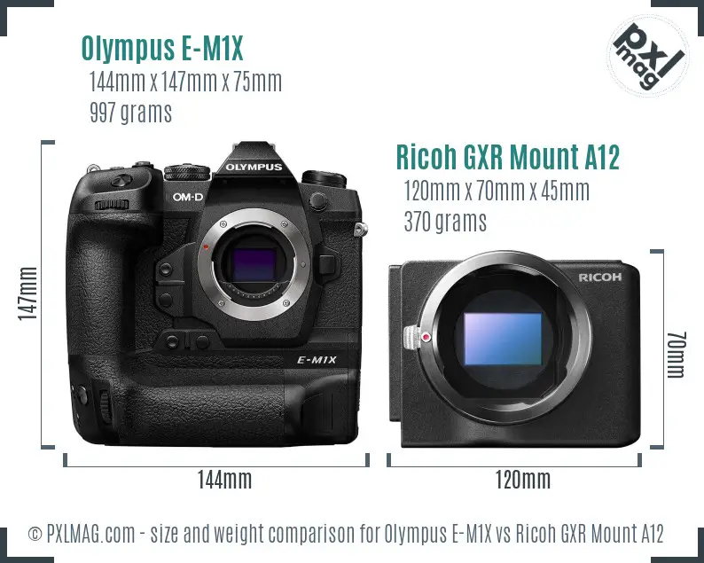 Olympus E-M1X vs Ricoh GXR Mount A12 size comparison