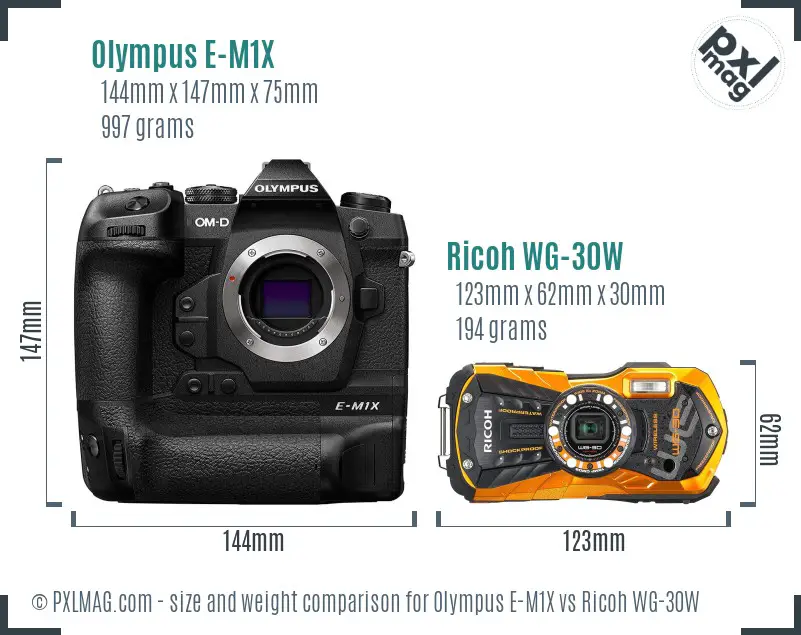 Olympus E-M1X vs Ricoh WG-30W size comparison Olympus E-M1X vs Ricoh WG-30W size comparison