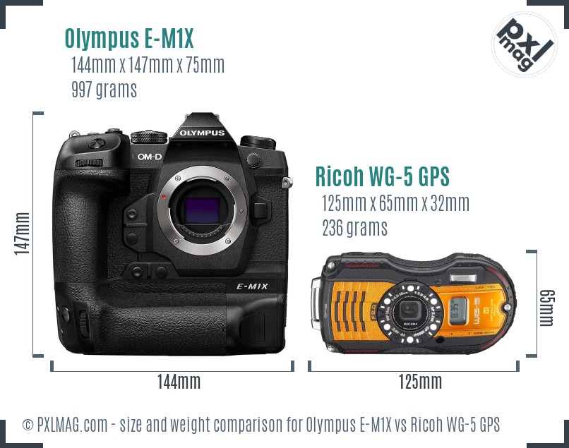 Olympus E-M1X vs Ricoh WG-5 GPS size comparison