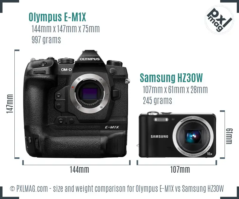 Olympus E-M1X vs Samsung HZ30W size comparison