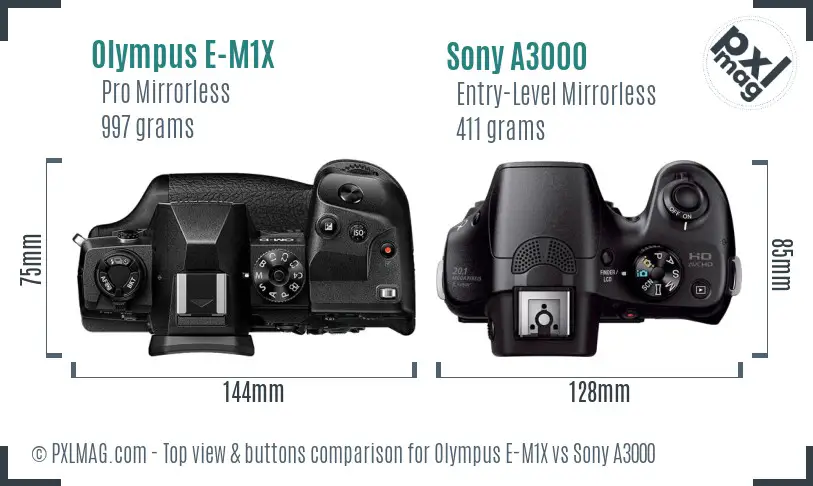 Olympus E-M1X vs Sony A3000 top view buttons comparison