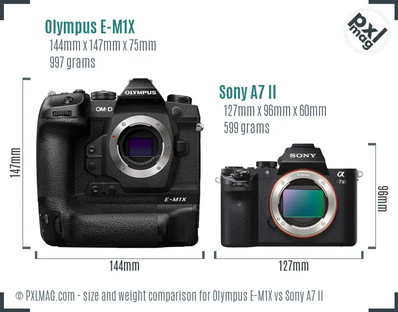 Olympus E-M1X vs Sony A7 II size comparison