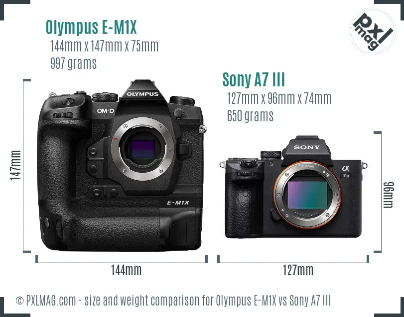 Olympus E-M1X vs Sony A7 III size comparison
