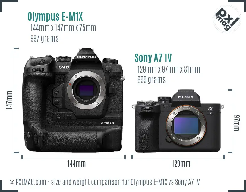 Olympus E-M1X vs Sony A7 IV size comparison