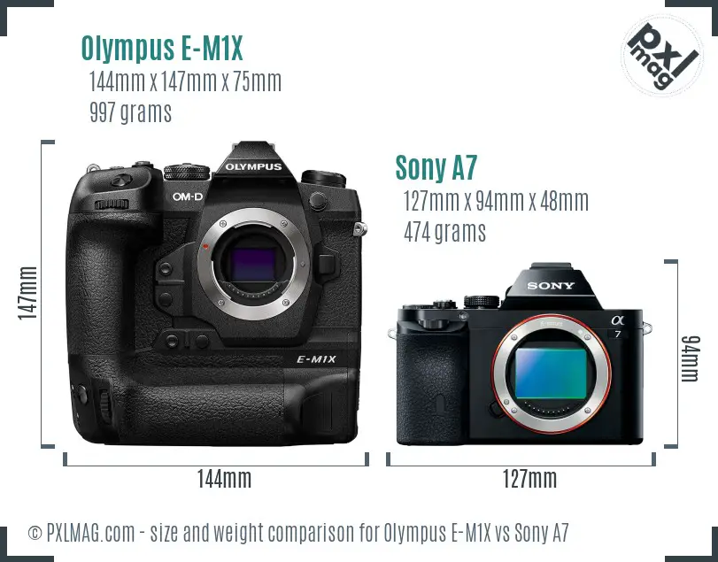 Olympus E-M1X vs Sony A7 size comparison