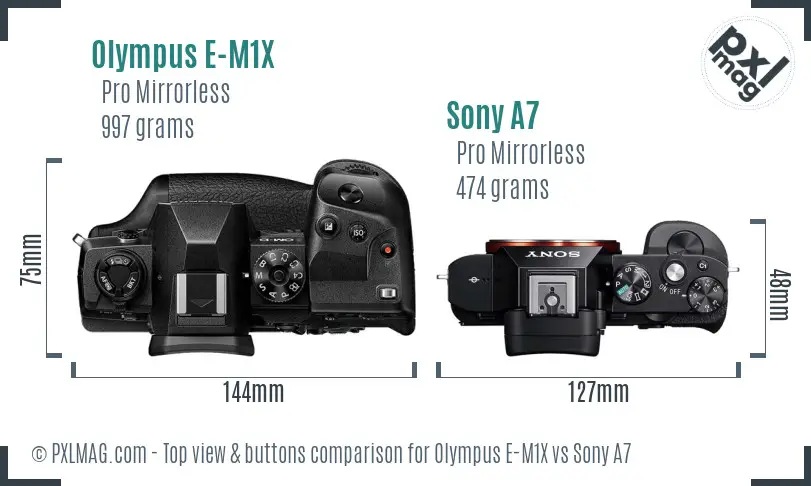 Olympus E-M1X vs Sony A7 top view buttons comparison