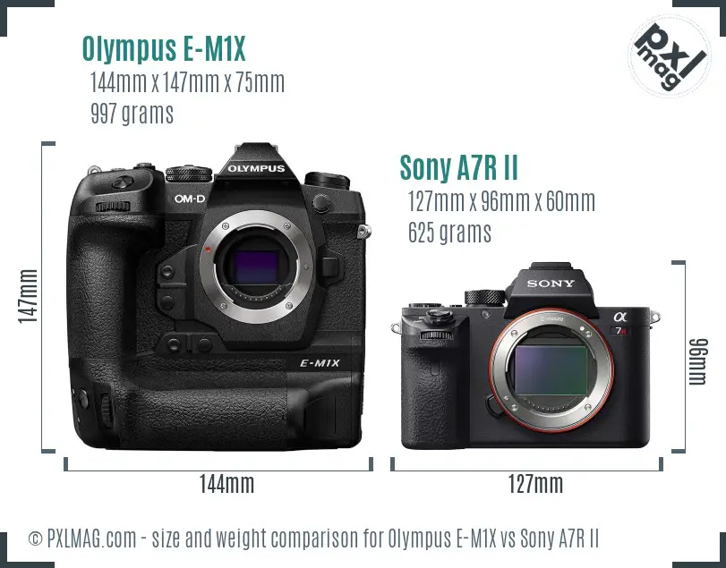Olympus E-M1X vs Sony A7R II size comparison