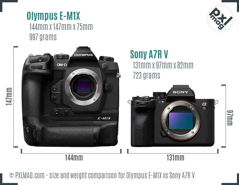 Olympus E-M1X vs Sony A7R V size comparison