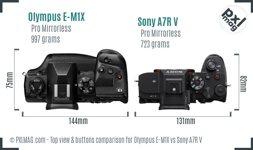 Olympus E-M1X vs Sony A7R V top view buttons comparison