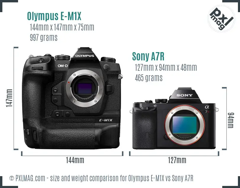 Olympus E-M1X vs Sony A7R size comparison