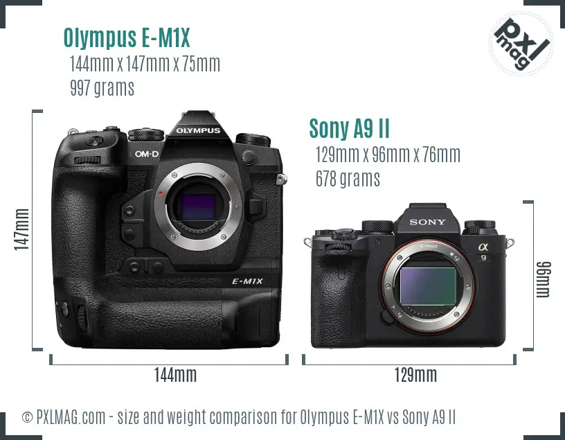 Olympus E-M1X vs Sony A9 II size comparison