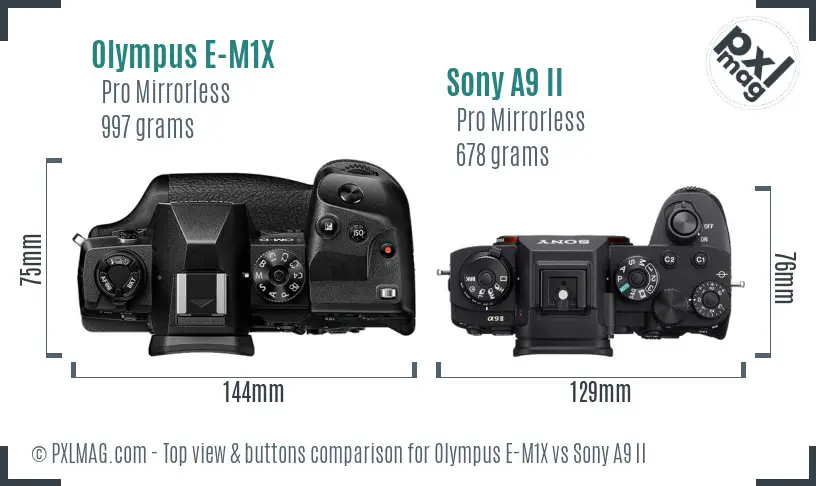 Olympus E-M1X vs Sony A9 II top view buttons comparison