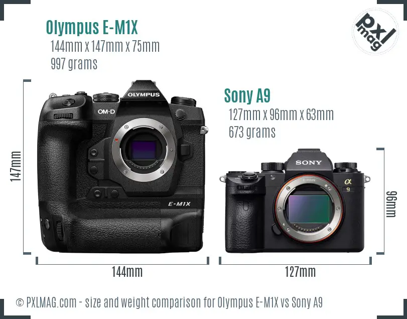 Olympus E-M1X vs Sony A9 size comparison
