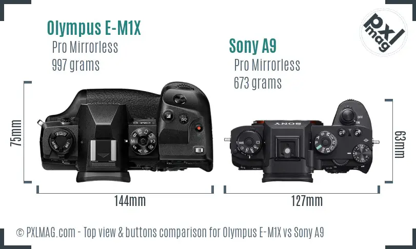 Olympus E-M1X vs Sony A9 top view buttons comparison