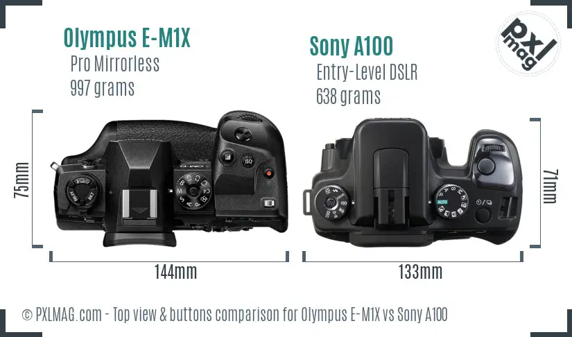 Olympus E-M1X vs Sony A100 top view buttons comparison