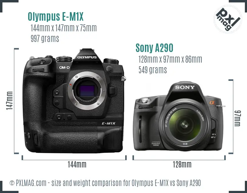 Olympus E-M1X vs Sony A290 size comparison