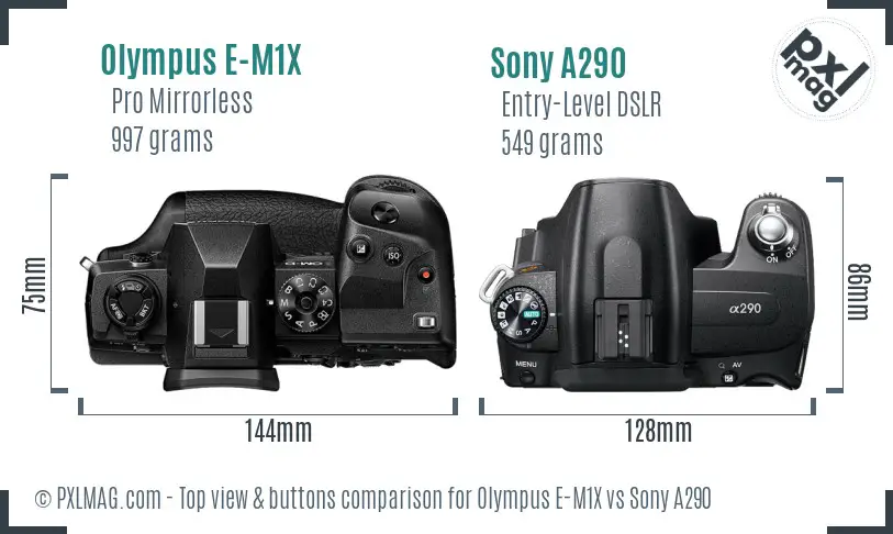 Olympus E-M1X vs Sony A290 top view buttons comparison