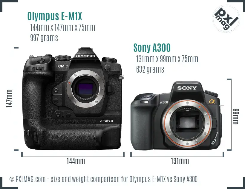 Olympus E-M1X vs Sony A300 size comparison