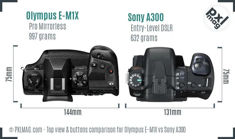 Olympus E-M1X vs Sony A300 top view buttons comparison