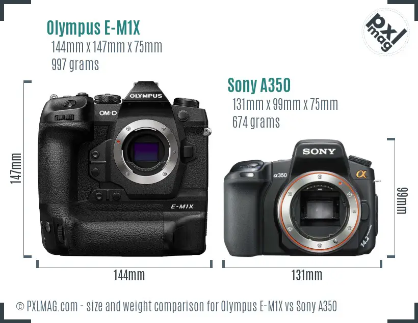 Olympus E-M1X vs Sony A350 size comparison