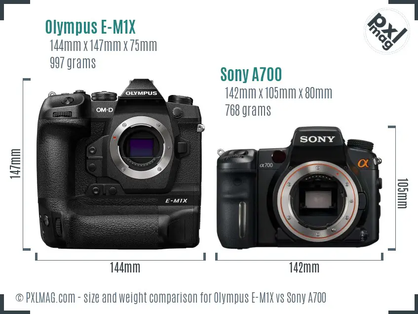 Olympus E-M1X vs Sony A700 size comparison