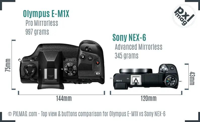Olympus E-M1X vs Sony NEX-6 top view buttons comparison