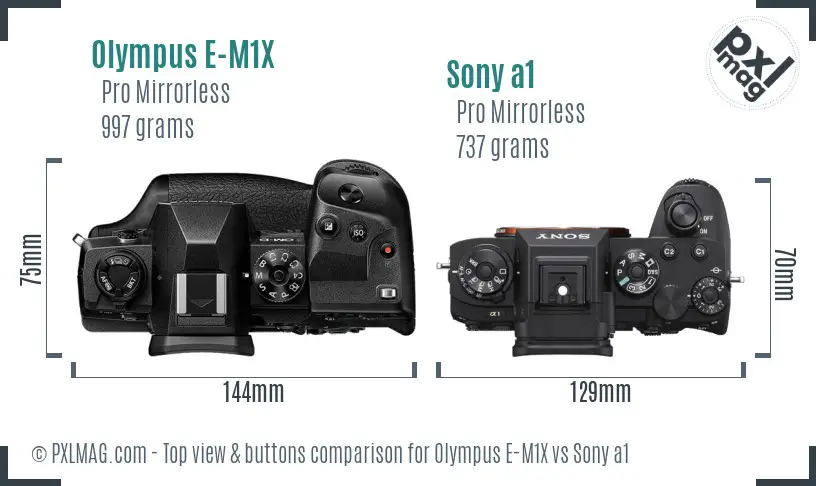 Olympus E-M1X vs Sony a1 top view buttons comparison