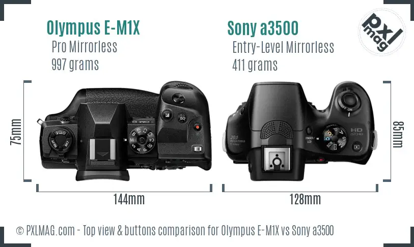 Olympus E-M1X vs Sony a3500 top view buttons comparison