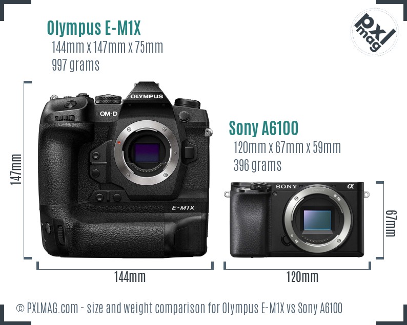 Olympus E-M1X vs Sony A6100 size comparison Olympus E-M1X vs Sony A6100 size comparison