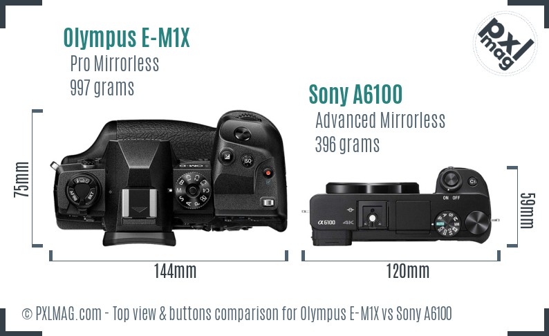Olympus E-M1X vs Sony A6100 top view buttons comparison