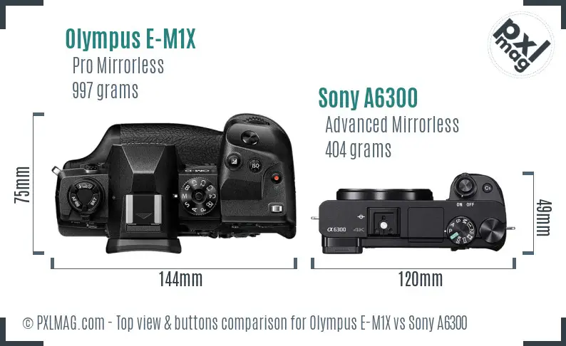 Olympus E-M1X vs Sony A6300 top view buttons comparison