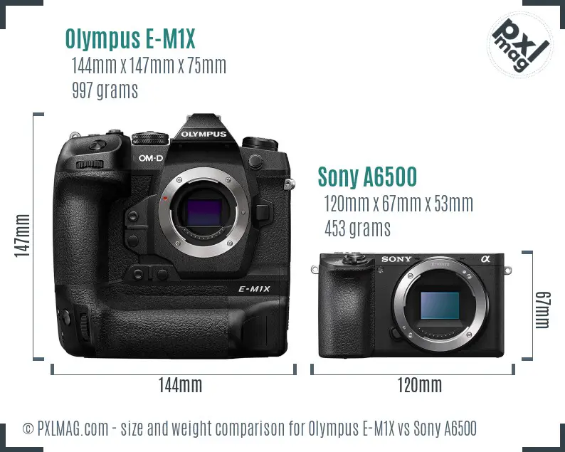 Olympus E-M1X vs Sony A6500 size comparison