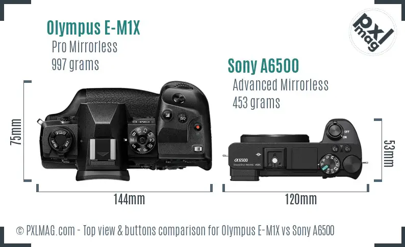 Olympus E-M1X vs Sony A6500 top view buttons comparison